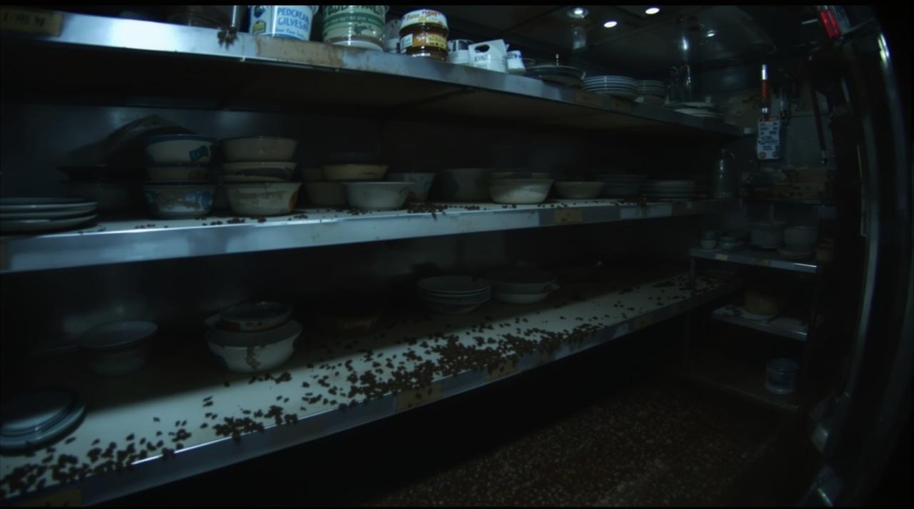 暗访镜头下的网红餐厅后厨卫生状况视频封面